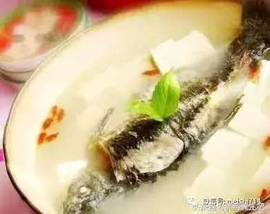 愛喝湯收好,30多種煲湯的做法