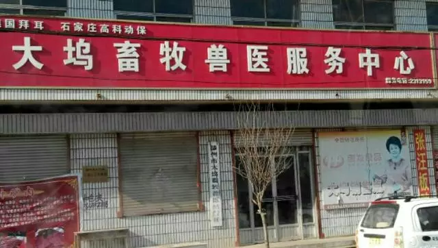 狗狗絕育,寵物醫院1000元,畜牧站300塊,憑什麼?