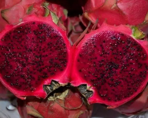 火龍果「紅心」和「白心」有什麼區別?不懂你的火龍果白吃了
