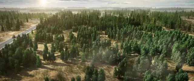 中國把千年沙漠治理成了綠洲?聯合國都坐不住了