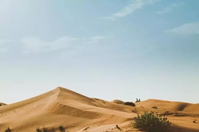 中國把千年沙漠治理成了綠洲?聯合國都坐不住了