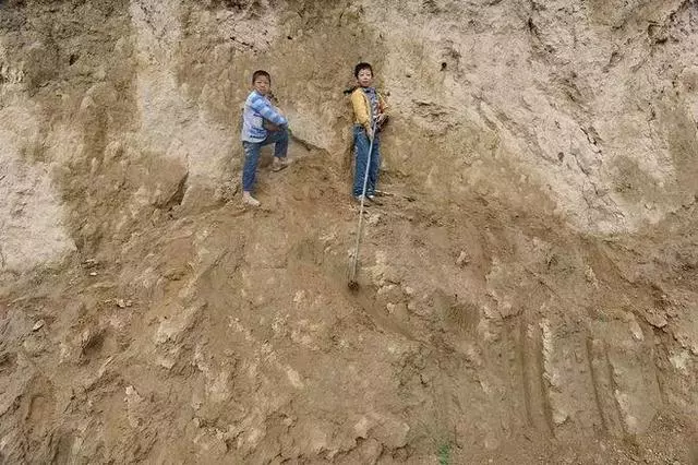 中國把千年沙漠治理成了綠洲?聯合國都坐不住了