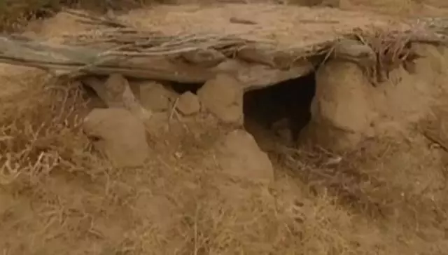 中國把千年沙漠治理成了綠洲?聯合國都坐不住了