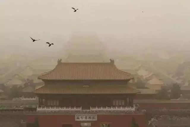 中國把千年沙漠治理成了綠洲?聯合國都坐不住了