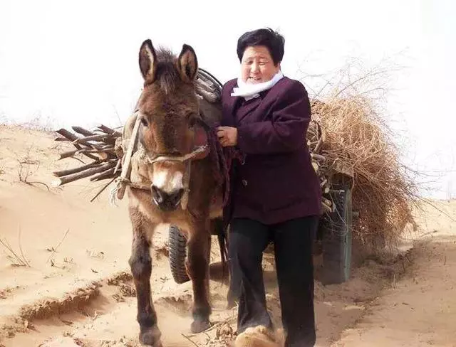 中國把千年沙漠治理成了綠洲?聯合國都坐不住了