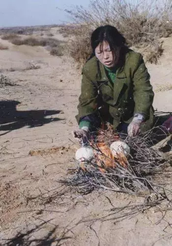 中國把千年沙漠治理成了綠洲?聯合國都坐不住了