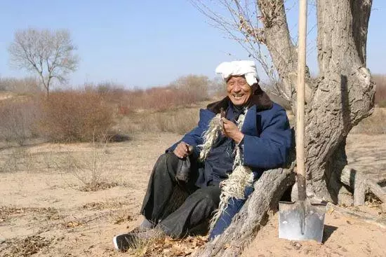 中國把千年沙漠治理成了綠洲?聯合國都坐不住了