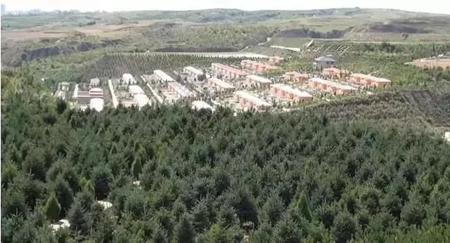 中國把千年沙漠治理成了綠洲?聯合國都坐不住了