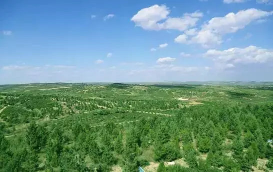 中國把千年沙漠治理成了綠洲?聯合國都坐不住了