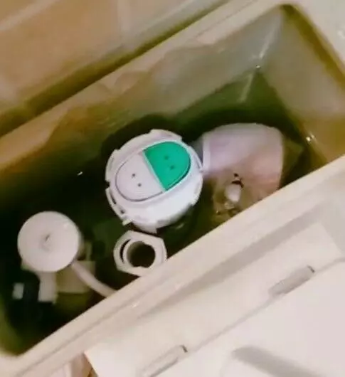 流產後,老婆總說廁所有抽泣聲,責備她神經,打開抽水箱,俺蒙啦