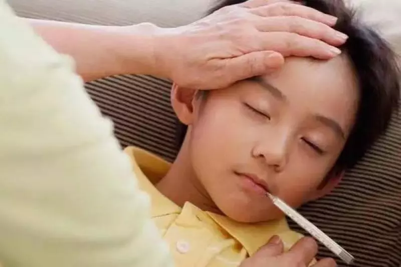 柔佛傳出鼠尿病疫情!目前已奪了2命!快來了解什麼是鼠尿病和如何預防!