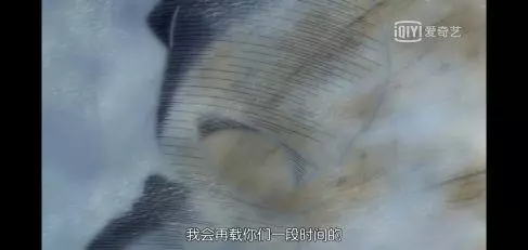 歌比動漫還火?聊聊動漫里的那些神曲