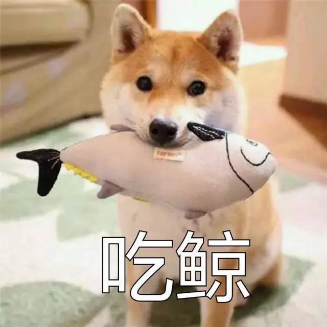 一家只拍爛片,卻從未虧損的神奇公司