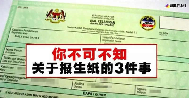 你不可不知關於報生紙的3件事