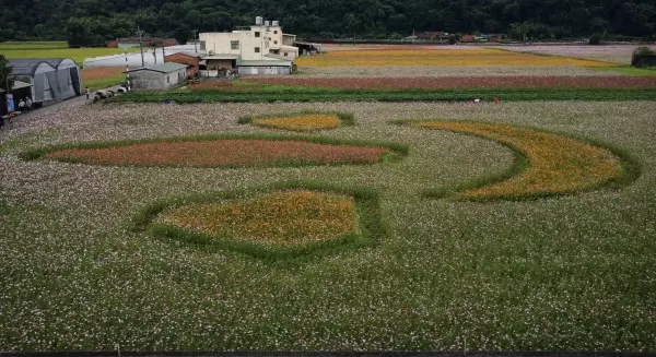 超夢幻!桃園花彩節大溪打頭陣 熱氣球、月亮搶先看