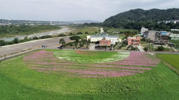 超夢幻!桃園花彩節大溪打頭陣 熱氣球、月亮搶先看