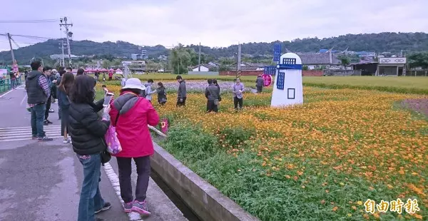 超夢幻!桃園花彩節大溪打頭陣 熱氣球、月亮搶先看