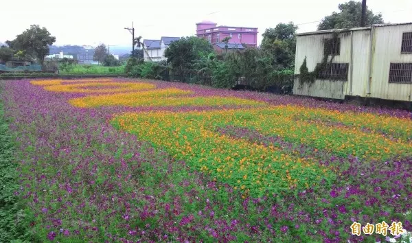 超夢幻!桃園花彩節大溪打頭陣 熱氣球、月亮搶先看