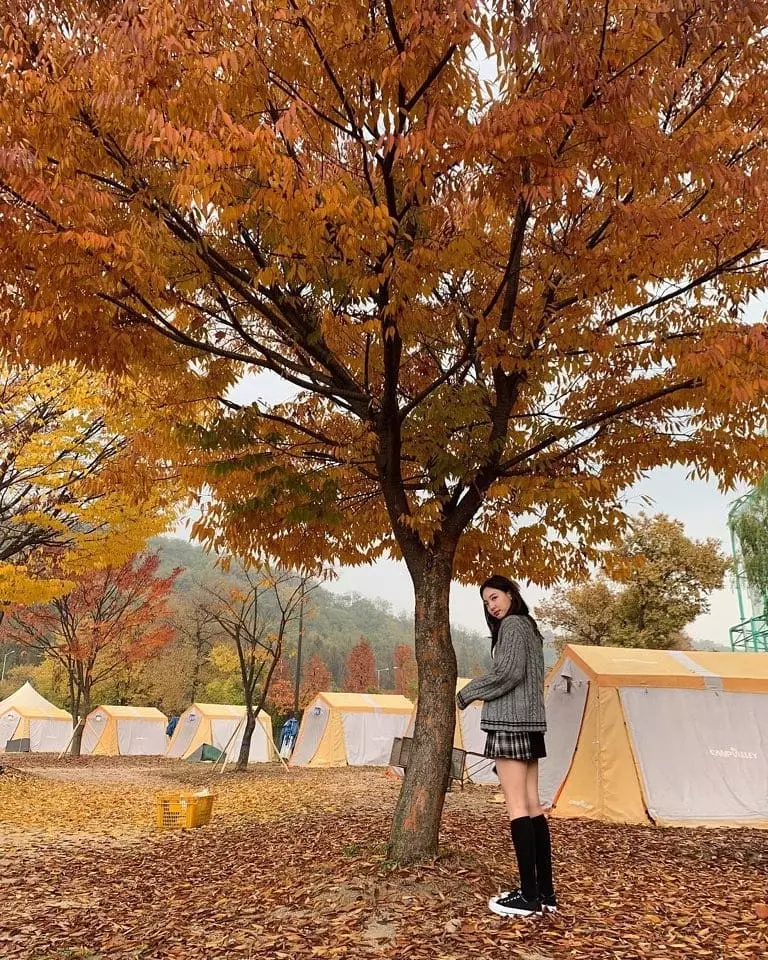 [TWICE][新聞]181108 彩瑛將不參加今年高考 「集中歌手活動」