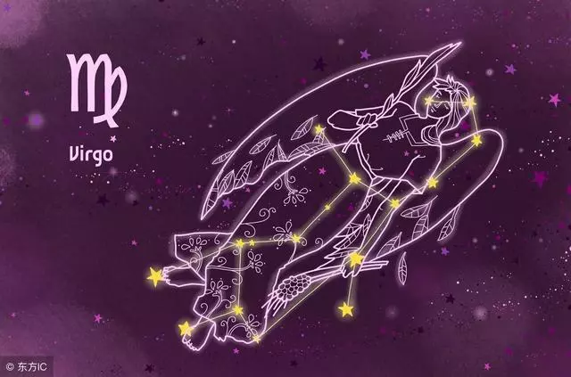12星座專屬狗狗,我的是比熊,有個星座是哈士奇,你的呢?