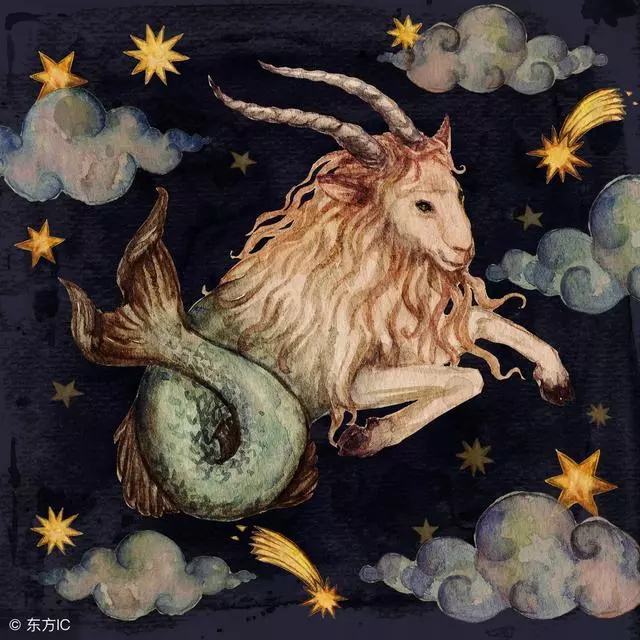 12星座專屬狗狗,我的是比熊,有個星座是哈士奇,你的呢?