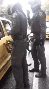 狗狗緊追主人20條街,「你為什麼忍心拋下我」,被拋棄卻依然愛你!