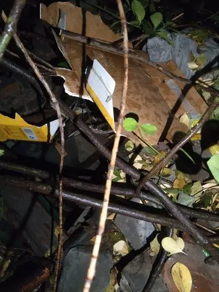 流浪狗媽媽雨夜生小奶狗,女孩救起後,鄰居卻苦口婆心上門討要