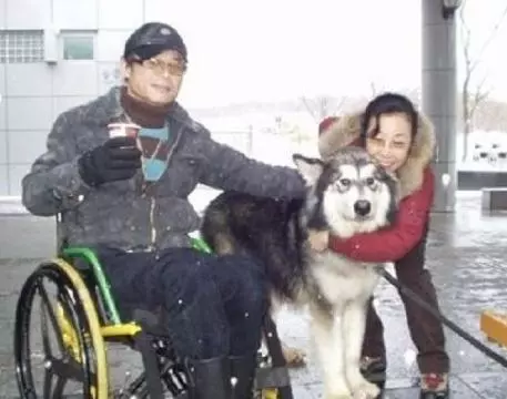 一隻即將被安樂死的阿拉斯加的故事,最後太溫暖了!