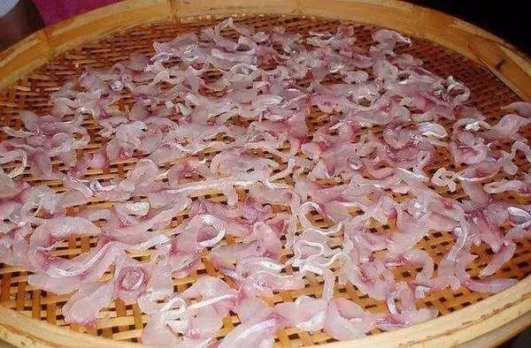 客家菜,全都在這了!有圖有菜譜,既解饞又能成大師!
