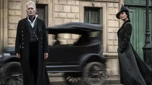 《神奇動物2》巴黎首映,個頂個端莊的主創里混進一隻麼蛾子