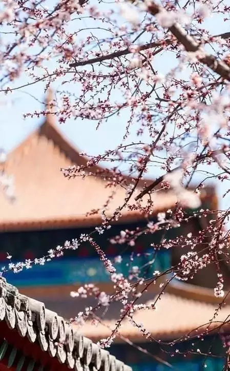 下次旅行時,這麼拍,能拍出大片即視感