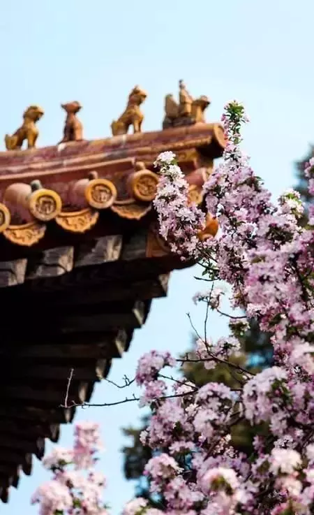下次旅行時,這麼拍,能拍出大片即視感