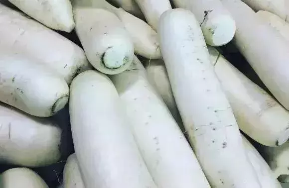 白蘿蔔和它一起燉,降三高特有效