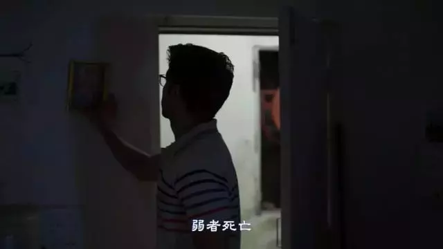 看這部電影,我強忍了100次砸電腦的衝動