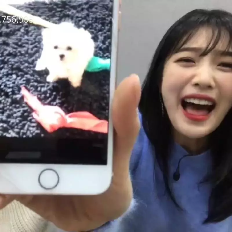 [Red Velvet][分享]181111 我們九妹有狗啦！直播曬汪一臉自豪~