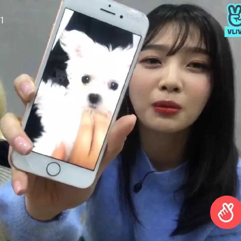 [Red Velvet][分享]181111 我們九妹有狗啦！直播曬汪一臉自豪~