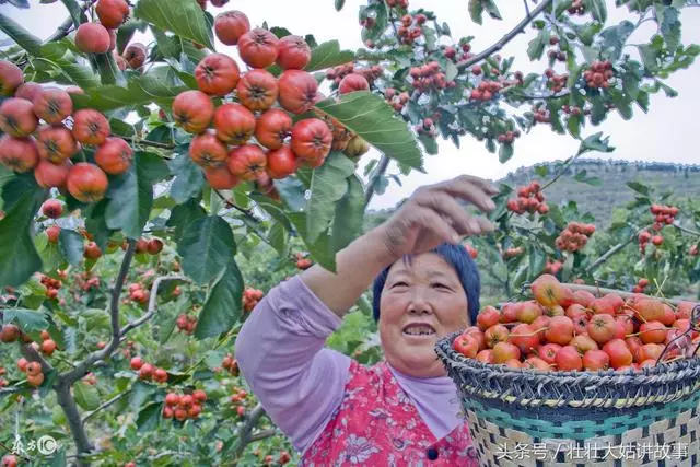 去農村婆婆家，吃飽喝飽後，我來廚房洗碗的那一刻，瞬間傻眼了！