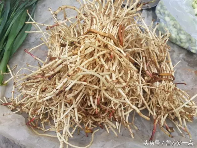 魚腥草的5大功效,堪稱「天然抗生素」,秋天不吃太可惜了