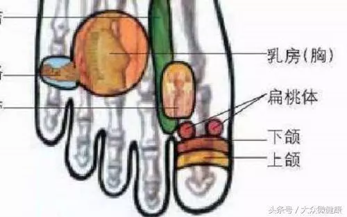 低頭摸腳,7種病在腳上有開關,輔助搞定,太實用了!
