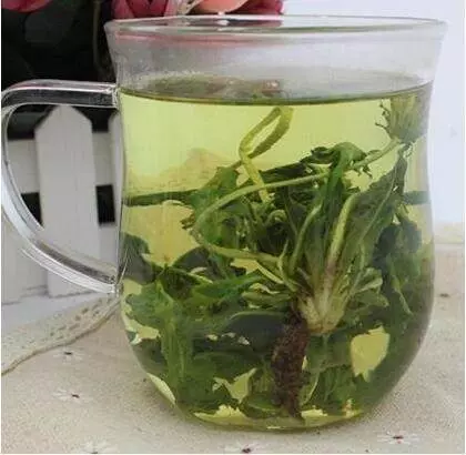 常抽菸的人每天喝一杯,能清除肺部80%的垃圾毒素!專家稱它是肺部「清道夫」