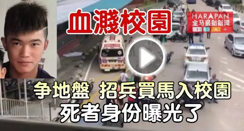 ◤血濺校園◢黑幫華小廝殺案【嫌犯最小僅14歲】快看
