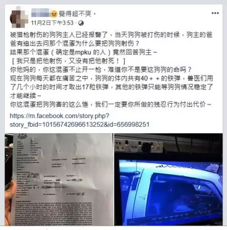 柔佛古來有射殺烏鴉的行動,但有一狗卻遭到近距離射擊「42顆散彈」進入體內!槍手:「我也沒有射死他啊!」