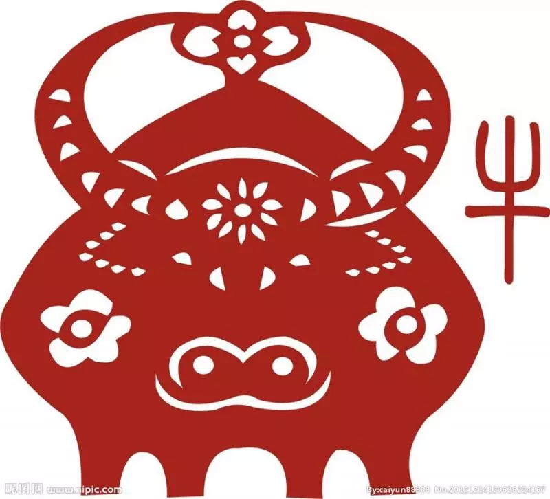 【2019年生肖運程】2019年黃土豬年即將來到,今年走黴運的你,搞不好明年會鴻運當頭呢!快來揭秘12生肖運程吧!
