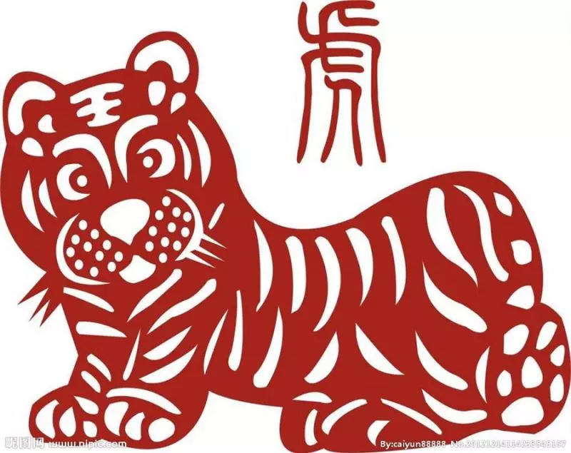【2019年生肖運程】2019年黃土豬年即將來到,今年走黴運的你,搞不好明年會鴻運當頭呢!快來揭秘12生肖運程吧!