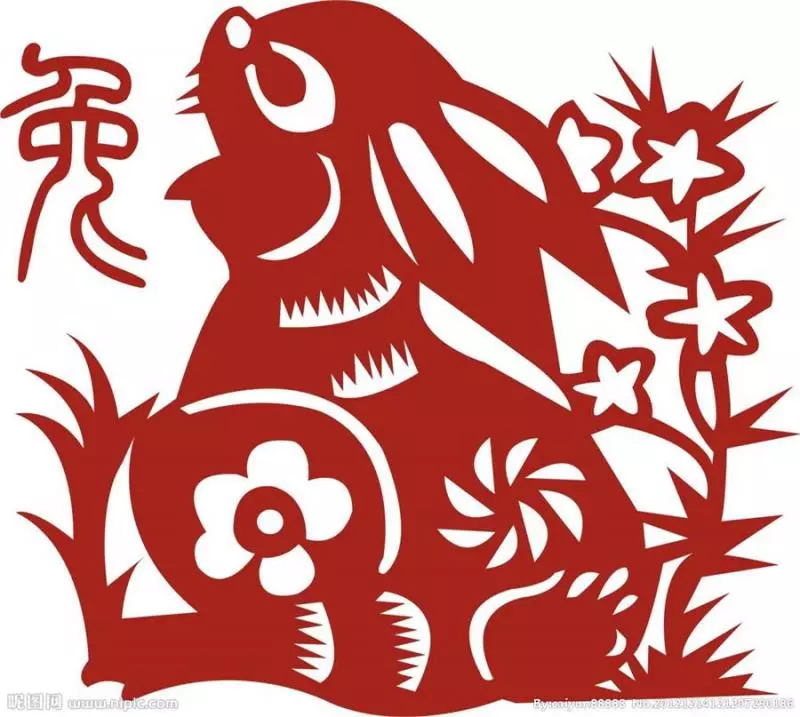 【2019年生肖運程】2019年黃土豬年即將來到,今年走黴運的你,搞不好明年會鴻運當頭呢!快來揭秘12生肖運程吧!