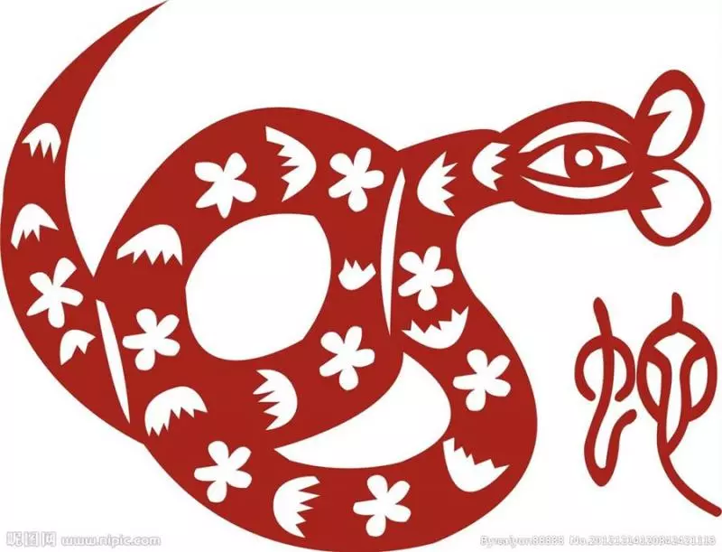 【2019年生肖運程】2019年黃土豬年即將來到,今年走黴運的你,搞不好明年會鴻運當頭呢!快來揭秘12生肖運程吧!