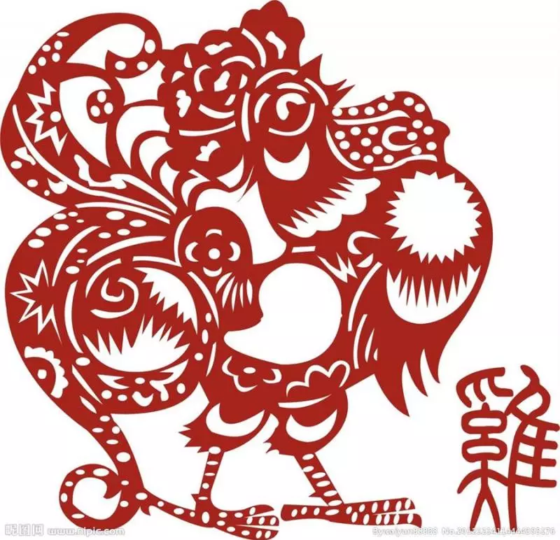 【2019年生肖運程】2019年黃土豬年即將來到,今年走黴運的你,搞不好明年會鴻運當頭呢!快來揭秘12生肖運程吧!