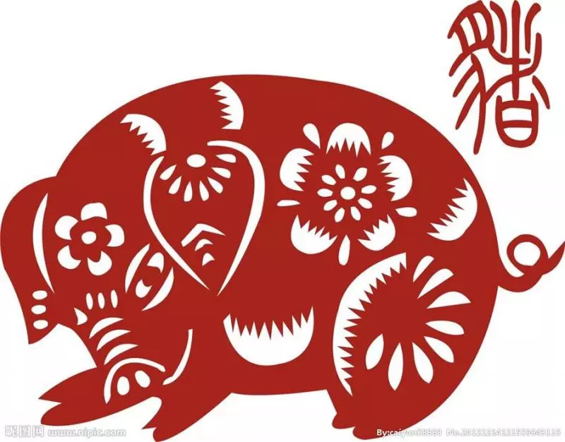 【2019年生肖運程】2019年黃土豬年即將來到,今年走黴運的你,搞不好明年會鴻運當頭呢!快來揭秘12生肖運程吧!