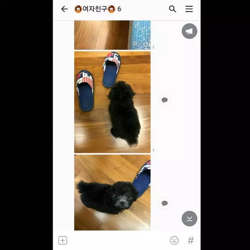 [GFRIEND][分享]181112 嚴智掩飾不住的少女心傳來迪士尼遊樂園遊玩認證照