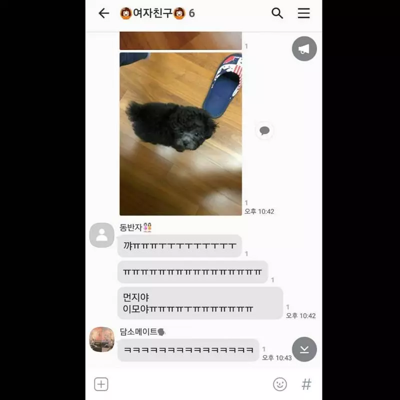 [GFRIEND][分享]181112 嚴智掩飾不住的少女心傳來迪士尼遊樂園遊玩認證照